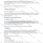 Ausführliche Version — Seite 2