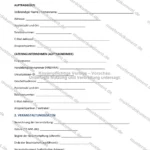 Ausführliche Version — Seite 1