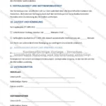 Ausführliche Version — Seite 3