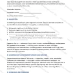 Ausführliche Version — Seite 1
