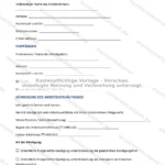 Ausführliche Version — Seite 1