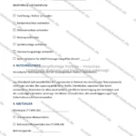 Ausführliche Version — Seite 2