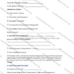 Ausführliche Version — Seite 2