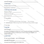 Ausführliche Version — Seite 2