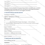 Ausführliche Version — Seite 2