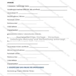 Ausführliche Version — Seite 1