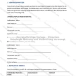 Ausführliche Version — Seite 1