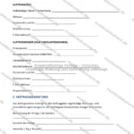 Ausführliche Version — Seite 1