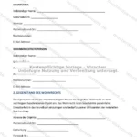 Ausführliche Version — Seite 1