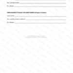 Ausführliche Version — Seite 3